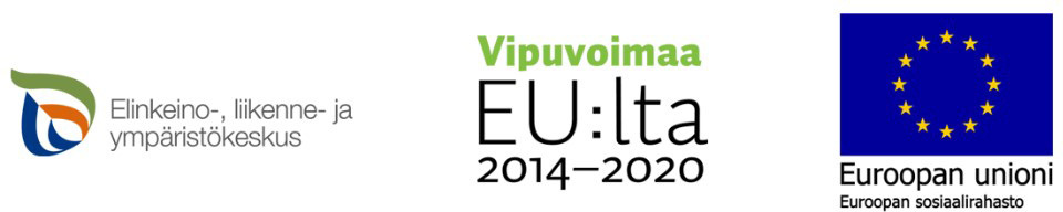 Elinkeino-vipuvoimaa-europan-unioni